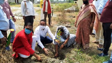 Tree plantation took place in Rampal Maurya PG College, Registrar appeared