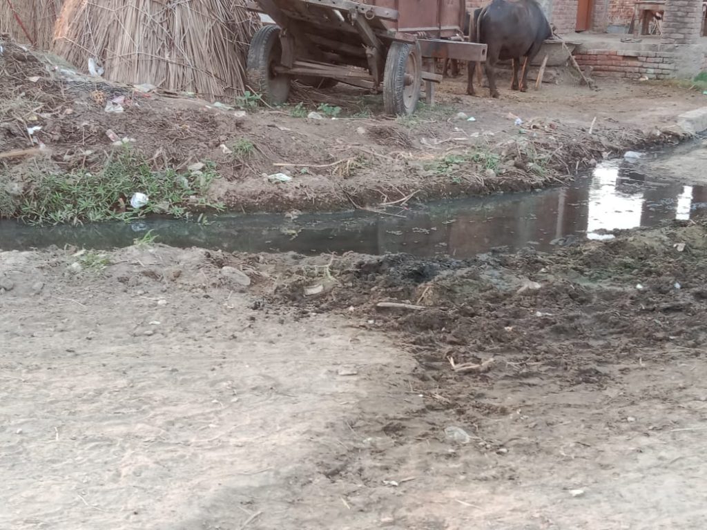 Due to the negligence of the secretary, heaps of filth in the gram panchayats