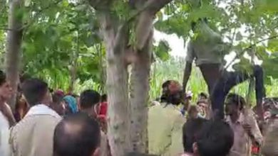 missing teenager's body was found hanging from a tree in the morning