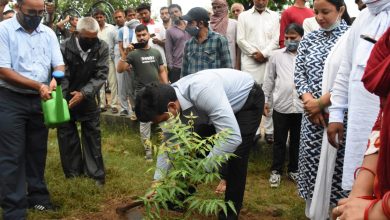 Deputy Commissioner started Green Karnal campaign by planting saplings
