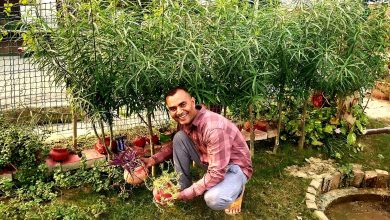 Sonu's garden is increasing the pride of Baghpat working in UP Police