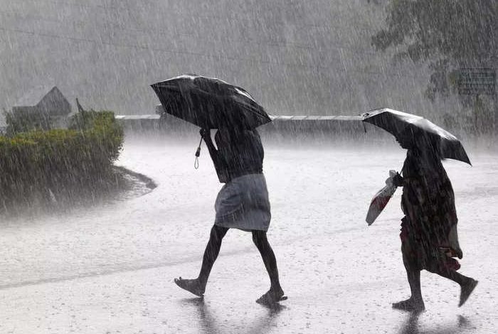 This drizzling rain will bring life to the crops