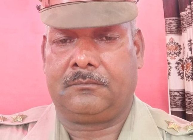 Police and public complement each other