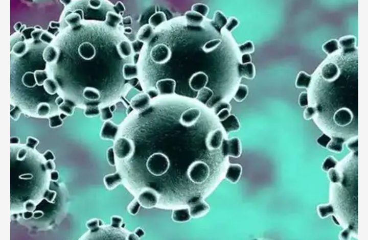 Bijnor District Magistrate gave instructions to take special