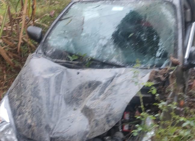 Uncontrolled car fell into the canal, two youths died, three injured