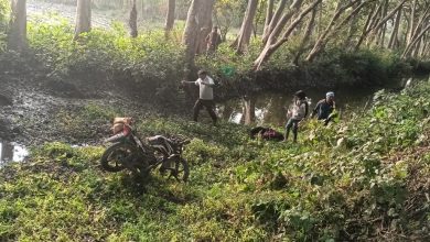 Speeding car hit the bike