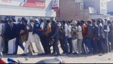 Long line of farmers regarding urea fertilizer, corona protocol flying in Bikaner