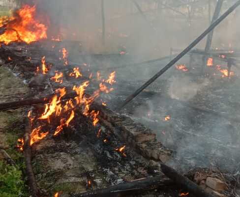 Chicken farm burnt down due to short circuit