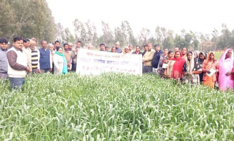 Organizing field day under Crop Residue Management Project
