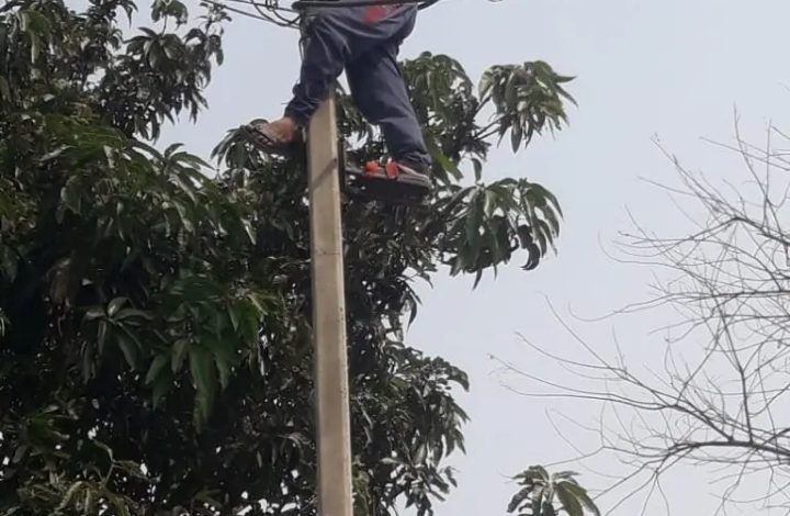 Electricity Department took action against the defaulters
