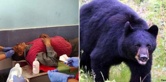 These days there are constant reports of human conflict with wildlife in Uttarakhand.